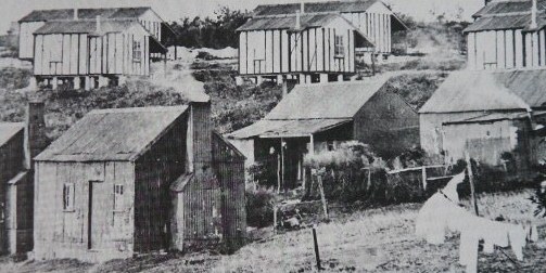 Government Reserve houses in background - 1931